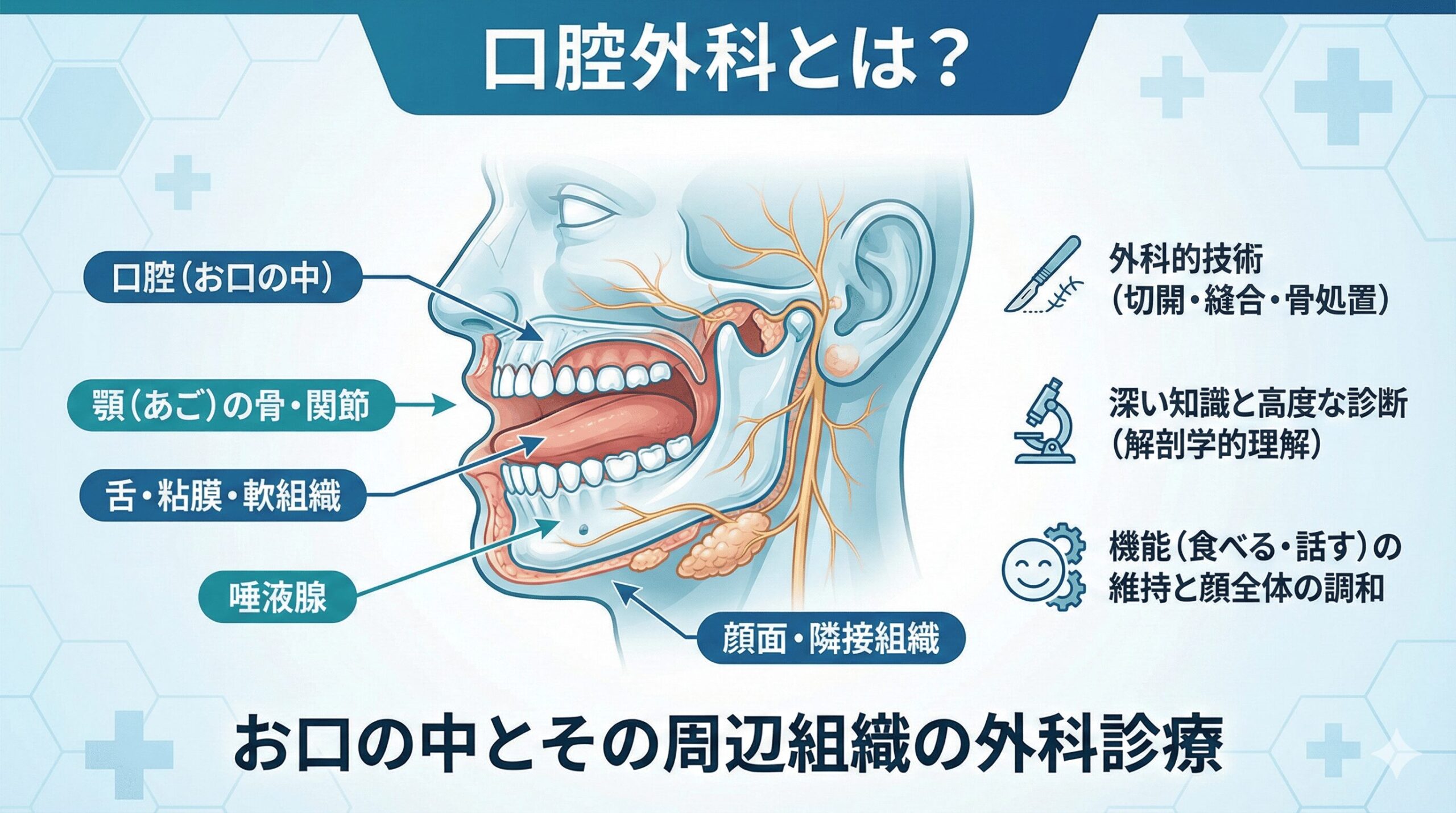 口腔外科とは？一般歯科との違いと主な治療内容を解説 | デンタル