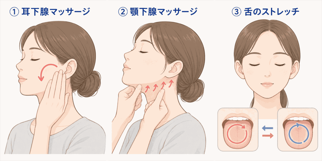 唾液の分泌を促すマッサージの仕方を図示したもの